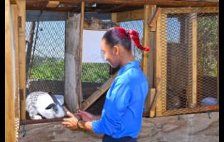 Paris Guthrie, a 21-year-old deaf entrepreneur, gently pets one of her rabbits.