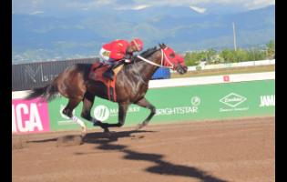 Credit: Anthony Minott/Freelance Photographer PACK PLAYS, ridden by Christopher Mamdeen, winning the Eileen Cliggott Memorial Trophy over six-and-a-half furlongs at Caymanas Park on Saturday.
