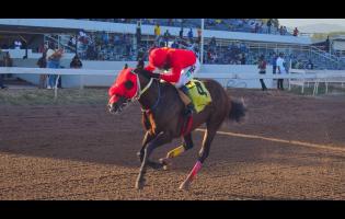 PACK PLAYS winning the 7 1/2-furlong Chairman’s Trophy at Caymanas Park on Saturday.