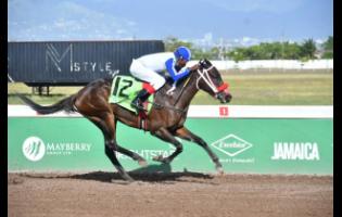 TREASURE ISLES, ridden by Everton Miller, winning the sixth race, on debut, over seven furlongs at Caymanas Park on Saturday.
