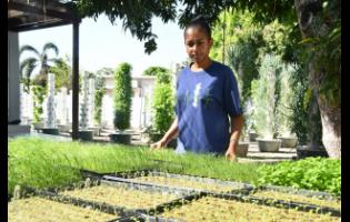 Kerrie-Anne Gray proves small spaces can yield big results.