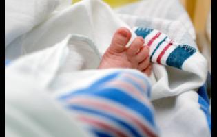 The toes of a newborn baby.