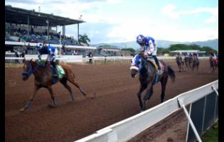 BADBADTANESHA (left), ridden by Richie Shakes, wins the sixth race at odds of 20-1 ahead of the Kevin Foster-ridden MODERN MONARCH (right), over 6 1/2 furlongs at Caymanas Park on Sunday. It was Shakes’ third of four winners on the nine-race card.