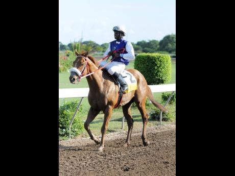 RUN THATCHER RUN (Omar Walker).