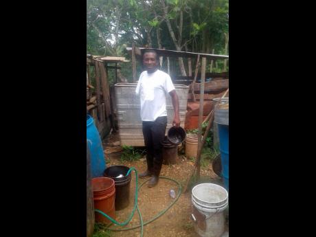 Andre Taylor turned to pig farming because he was struggling to get a job. 