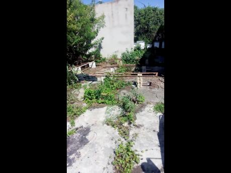 The empty space where the colonies were located.