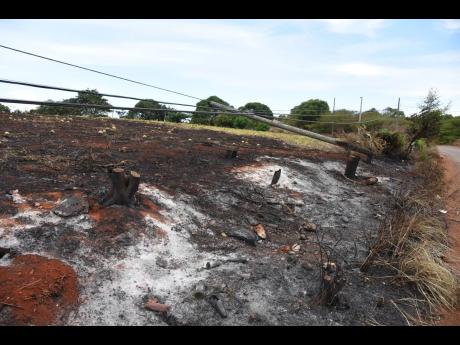 Farm areas of Flagaman, St Elizabeth were destroyed by fire on Friday, August 16.