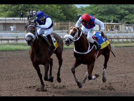 She’s A Maneater (left) with Omar Walker aboard. 