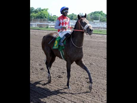 Credit: Lionel Rookwood ANOTHER BULLET