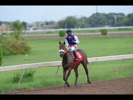 SHE’S A MANEATER, ridden by Omar Walker, wins the 41st running of the Superstakes at Caymanas Park in St Catherine on October 7, 2019.