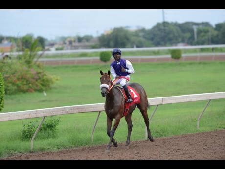 Credit: Shorn Hector SHE’S A MANEATER, ridden by Omar Walker, wins the 41st running of the Superstakes at Caymanas Park in St Catherine on November 7, 2019.