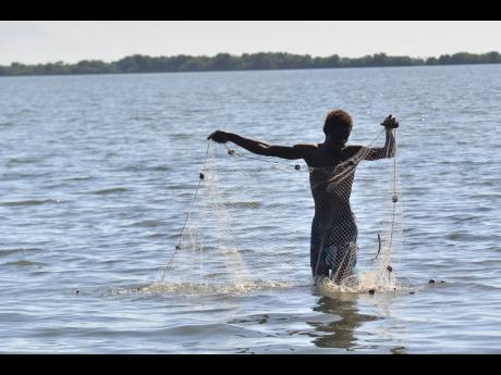 Credit: Kenyon Hemans Richie Cardener, a fisherman, cast his net in the waters in Hellshire, St Catherine.