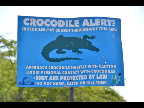 Credit: Kenyon Hemans