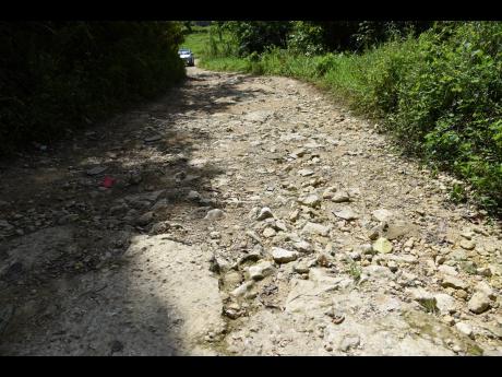 A section of the roadway near the St Elizabeth/Westmoreland border of Kilmarnock. The residents say it has been in a deplorable condition close to 30 years.