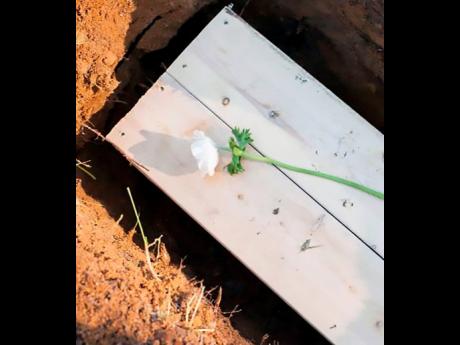 Backyard's coffin is placed in the grave.