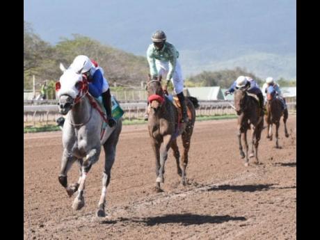BAY TO GREY (left, Oshane Nugent) wins the sixth race at Caymanas Park yesterday. 