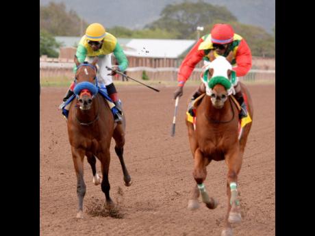 TOONA CILIATA (right) , with Shane Ellis aboard, wins the 2019 Prince Consort Stakes over 1400 metres at Caymanas Park on March 16, 2019.
