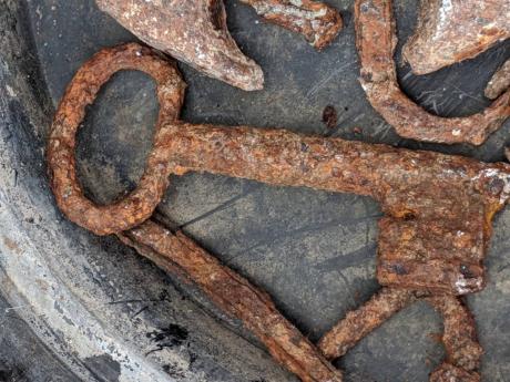 What would you do if you find these items in your backyard?