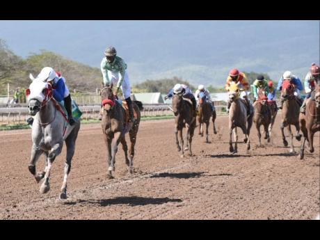 Credit: File Local jockeys aboard their horses at Caymanas Park in St Catherine on Wednesday, February 26.
