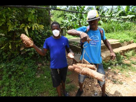 Oneil Blake (left) and Fitzroy Tinglin, residents of Mahogany Hall in Trelawny, offer toy yam for sale  from the side of the road in their community.