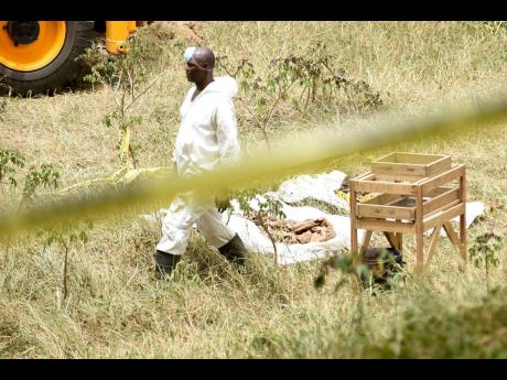 An investigator at the scene of a shallow grave in Rivoli, St Catherine, yesterday. The police believe that the site is used by members of the Clansman gang to bury their victims. 