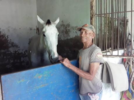 Vincent Campbell, a groom at Caymanas Park, in the stable with a race horse in his care.