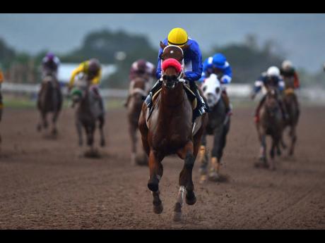 UNIVERSAL BOSS, pictured here, will go up against ROJORN DI PILOT at Caymanas Park on Saturday.