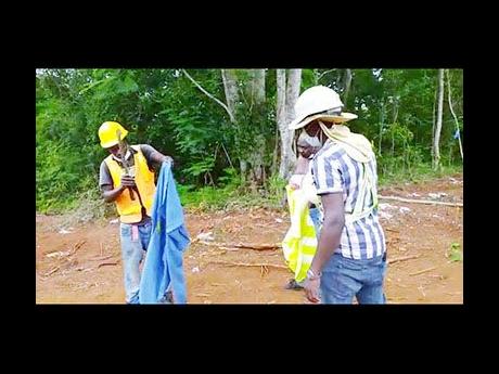 This man tries to remove a green lizard from the clothes of his co-worker.