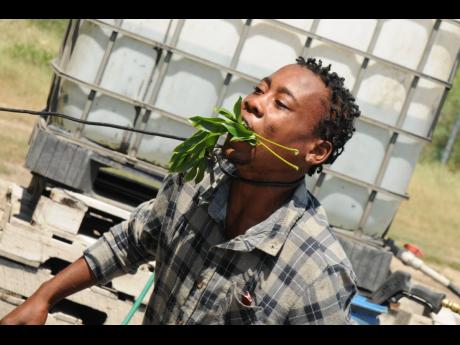 Credit: Ajani Stewart Devin James, commonly known as Ghetto Goat, wants to make it big as a comedian.