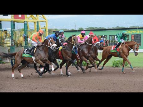 Horses leaving the starting gates at Caymanas Park.