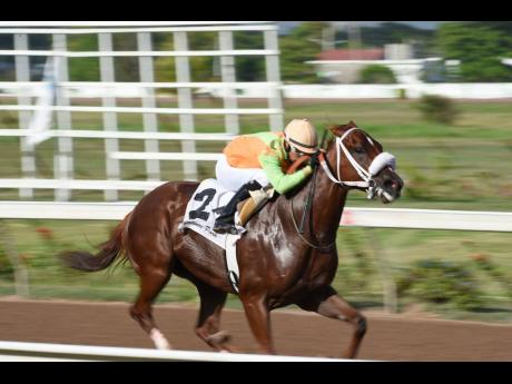 Credit: Gladstone Taylor PEKING CRUZ