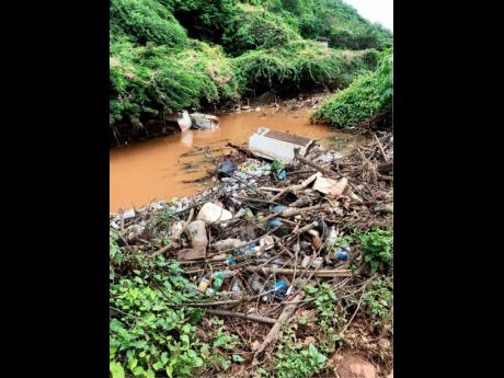 Section of the Duhaney River that runs by New Haven.