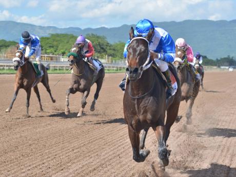 WOW WOW wins the Supreme Venture 2-year-old stakes with Ameth Robles aboard ahead of Tomohawk  and Money Monster at Caymanas Park earlier this year.