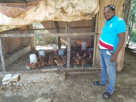 Phillip Rose standing beside a coop with his layer hens in Treasure Beach, St Elizabeth.