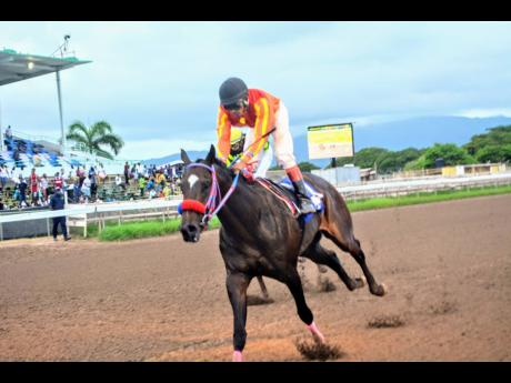 Credit: File SIR ALTON, ridden by Anthony Thomas, wins the Ronron Trophy at Caymanas Park on Sunday, September 13.