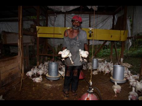 Hopeton Golding and his daughter, Sherece Golding, are partners in this small chicken business.