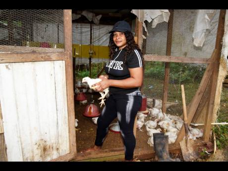 Sherece Golding, a chicken farmer from St Catherine.