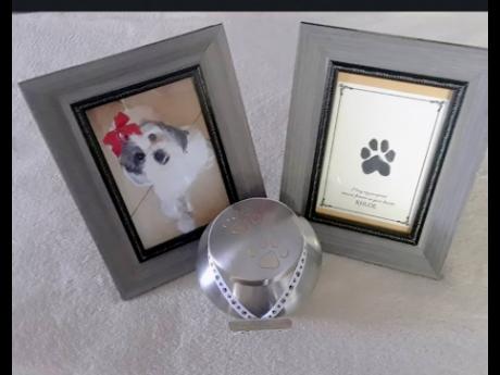 One of the memorabilia packages offered by Faithful Friends Pet Cremation Jamaica.
