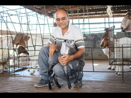 Credit: Contributed Trevor Bernard with some of the livestock on his farm.
