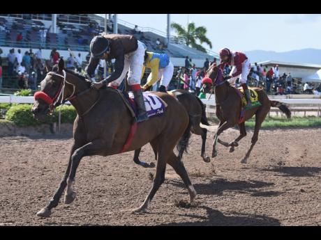 WHATEVER wins the sixth race at Caymanas Park with Anthony Thomas aboard earlier this year.