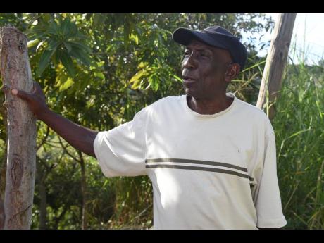 Gungo farmer Egerton Brown is hoping to get help to replant his crops after heavy rains did severe damage recently.
