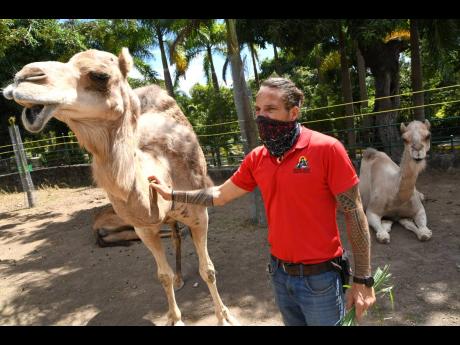 Brown said that despite the ongoing COVID-19 pandemic, he is optimistic of bringing in more exotic animals to the zoo.