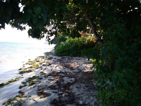 A section of Orchard Beach in Hanover.