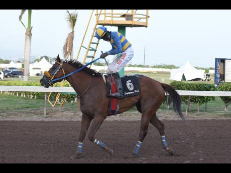 FILE
Chace the Great returns to the winner’s encloser after winning the 10th race at Caymanas Park in June 2020.