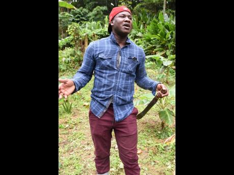 Credit: Kenyon Hemans Cavan encourages young people to get into farming even though it may not look attractive.Cavan encourages young people to get into farming even though it may not look attractive.