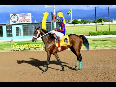 CALCULUS, ridden by Dane Nelson, wins the ninth race at Caymanas Park on Saturday, November 21, 2020.