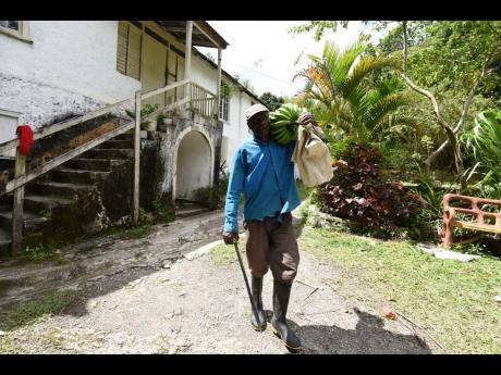 Carel Collington, caretaker at Langley Great House in Mount Airy, St Andrew West Rural. It was once a go-to destination for locals and tourists who used the facility for weddings, parties, conventions or just as a simple getaway.