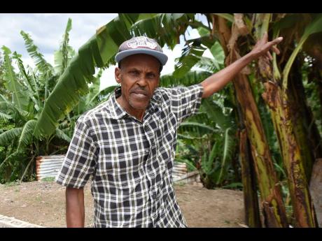 Credit: Kenyon Hemans Bois Content resident Veni Newell longs for the day that he does not have to depend on trucks or rainfall to provide him with potable water.
