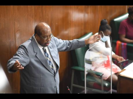 Opposition Senator Lambert Brown speaking at the sitting of the Senate last Friday.