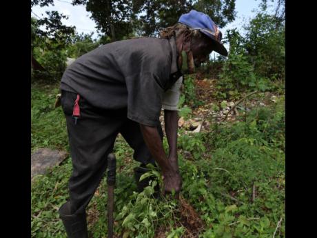 Credit: Ian Allen Thompson says that he has never administered an ineffective cure to anyone who is ailing.